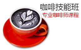 辛缇咖啡技能班